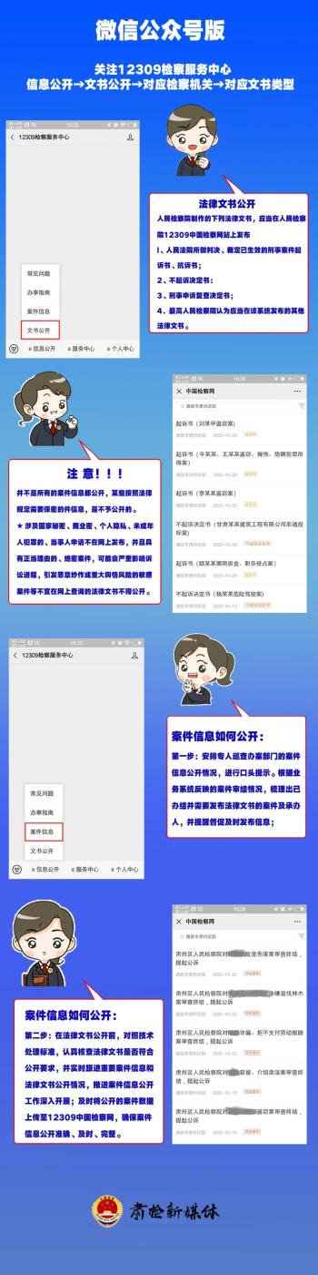 “手把手”教你玩转12309案件信息公开查询  -图3