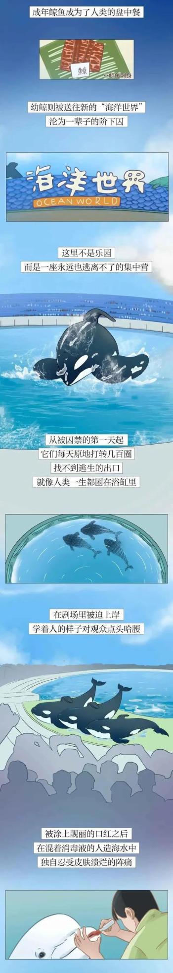 为啥说尽量别带孩子去海洋馆？（漫画）看完你还会去吗？  -图6