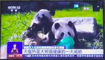 央视批评韩星违规接触熊猫后，YG终发声明，却被指通篇推卸责任  -图15