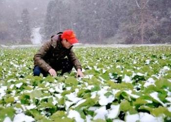 未来10天全国天气大揭秘：雨雪交加，温差悬殊，你知道吗？  -图12