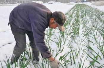 未来10天全国天气大揭秘：雨雪交加，温差悬殊，你知道吗？  -图13