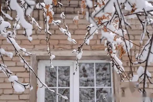 再来一波冷空气，大范围雨雪已确定！今天夜间至23号天气预报  -图2