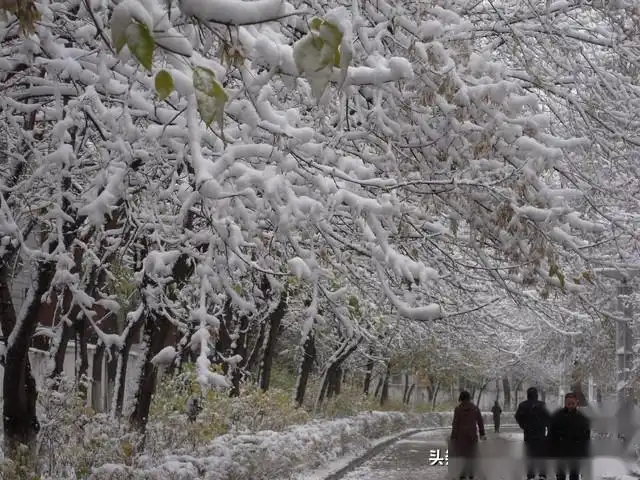 再来一波冷空气，大范围雨雪已确定！今天夜间至23号天气预报  -图9