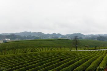 贵州环游7天6晚攻略，全程1570公里，贵州知名景点一个不落  -图10