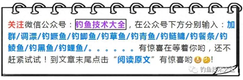 重庆男子如蜘蛛侠般下到90度20米高河堤下钓鱼，看得路人瞠目结舌  -图1