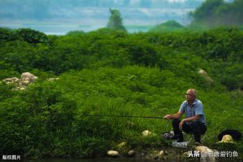 想钓得大板鲫，请收下这套药酒米配方，聚鱼快，做法简单成本低  -图5