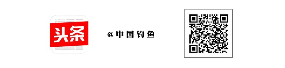 跟着我们去冬钓 第二篇 冰钓比赛用高招 助你场场上大鱼  -图8