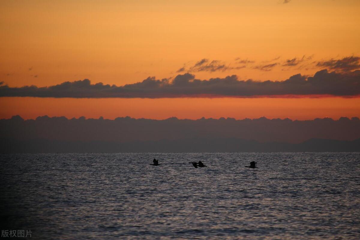 青甘大环线之青海湖，青海携途国旅整理青海湖环湖游玩攻略  -图2