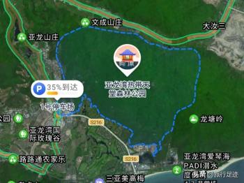 海南省三亚市吉阳区亚龙湾热带天堂森林公园  -图1